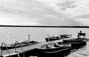 Lake Access! Twin Birch Resort - Kodiak Cabin - Foto 33