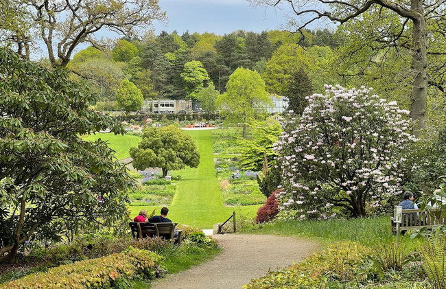 Artists' Cottages - Foto 59