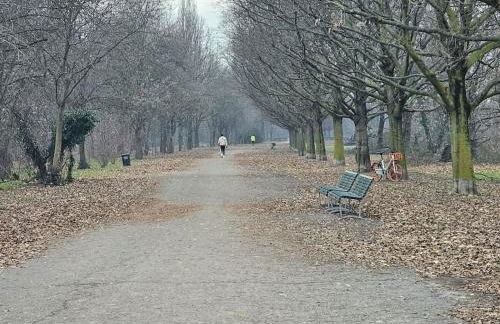 Casa Prospettiva Verde, tra natura e città - Foto 13