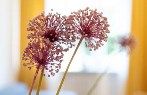 La casa di Livia - Foto 38