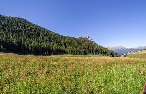 Rieglhof Apartment Kükennest - Foto 19