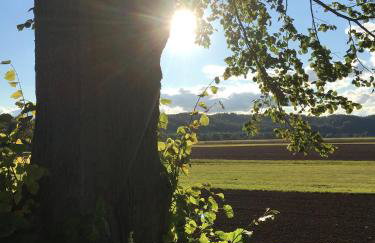 Ferienwohnungen Lausbuben & Zicken - im grünen Herzen Deutschlands - Foto 37