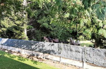 Maison familiale à Gerde - Foto 17