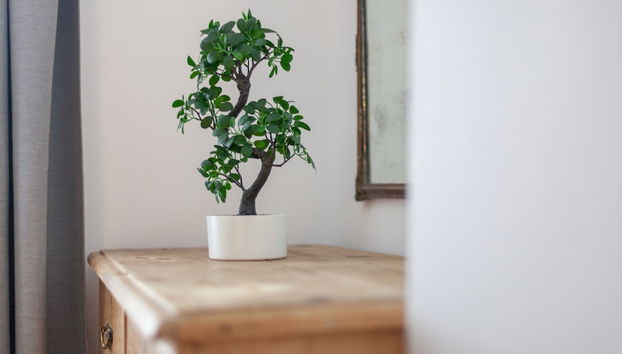 The Oval Colletion - Foto 3, Habitación