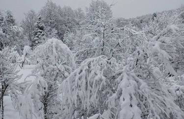 Mala kuća - Foto 37