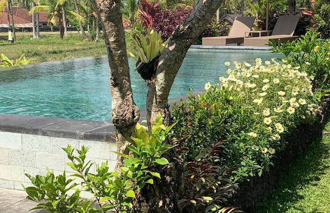 Paraiso Cottage Ubud - Foto 6