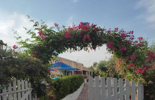 Villa Eleni Holiday Resort 4' walk to Beach with Pool - Ideal for Families and Couples - Foto 8