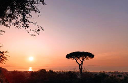 La Pigna Sorrento - Foto 16