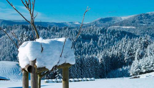 Landhaus Sackmann - Foto 5