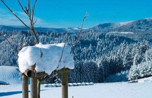 Landhaus Sackmann - Foto 5