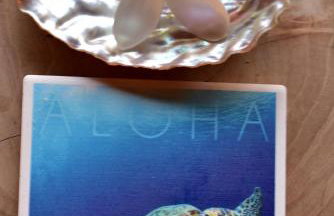 Aloha La Palma ECO Boutique Resort - Photo 39