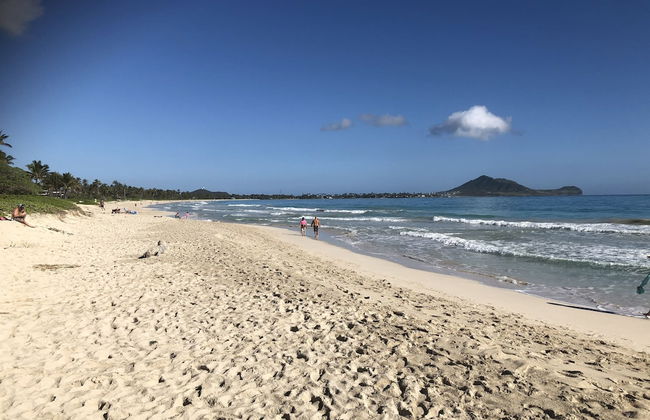 Gorgeous Renovated 1937 Plantation Style Beach House 50 Steps To The Center Of The Beach 5 Bedroom Home by RedAwning - Foto 56