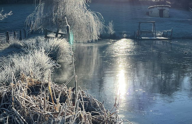 Coombeshead Farm - Foto 35