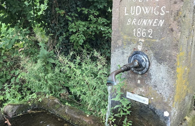 Barocker Hof Rhodt - Foto 51