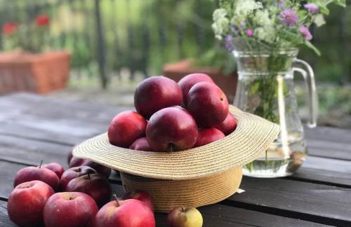 La casita de Olivia Espinaredo - Foto 46