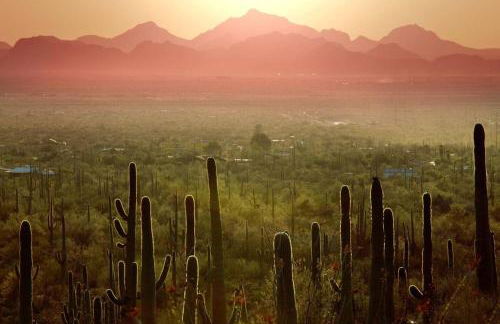 The Sonoran Sanctuary in Sahuarita - Foto 21