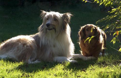 Ferienwohnung Waldstraße - Foto 58
