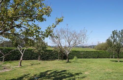 Casa Rural La Palmera - Landetxea - Foto 36