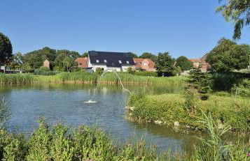 Ferienhaus Seeschwalbe - Foto 28