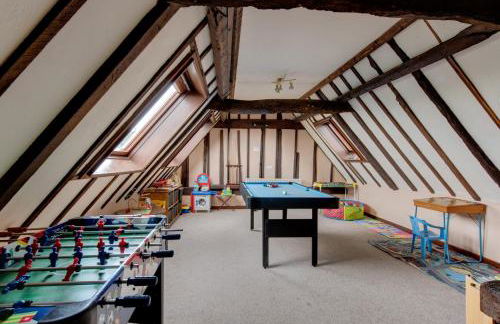 Birds Farm - Foto 78