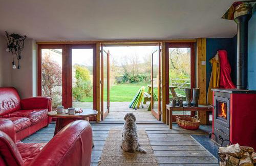 Bueno - Ukc4682 - Foto 6