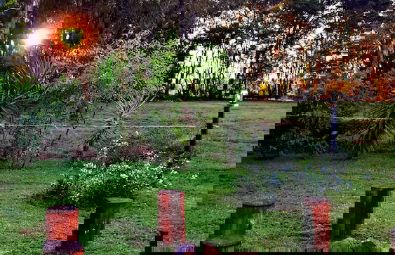 Woodland Gardens - Photo 60