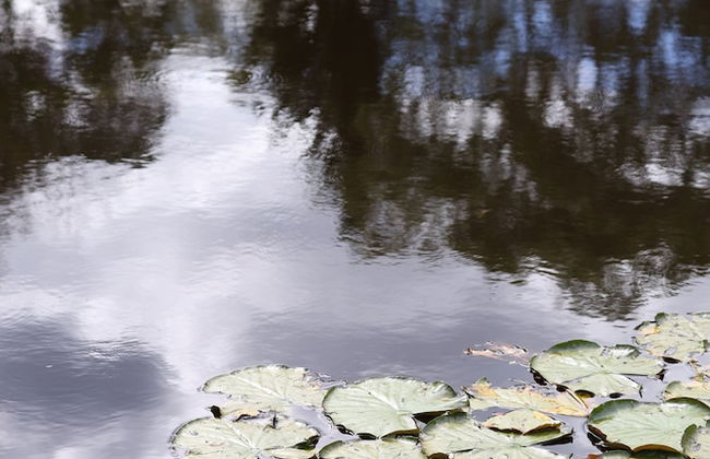 StayAU Lakeview Cottage 2BR Cozy Nature - Foto 28