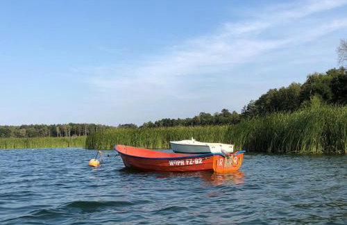 Domek Franianiesulice - Foto 51