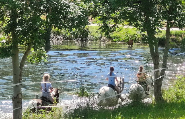 TinyHousebeiDresden unser größtes winziges Häuschen für bis zu 7 Personen, Kaminofen, große Terrasse - Nähe Sächsische Schweiz - Foto 11