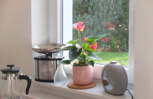 Gäste-Apartment Gartenblick - Foto 20