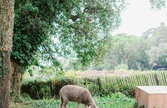Relais du vieux sauvaire - Foto 65