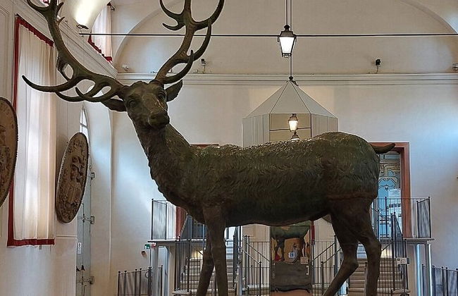 Reggia di Venaria et Stupinigi Chasse Palais - Photo 16