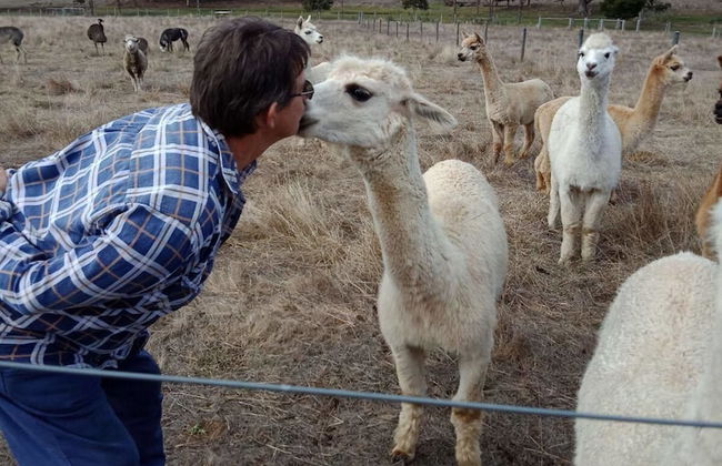 Redtail Ridge Cottages - Adults Only - Foto 18