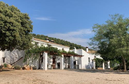 Casas Rurales Cortijo Cerro Fuentes Nuevas - Foto 22
