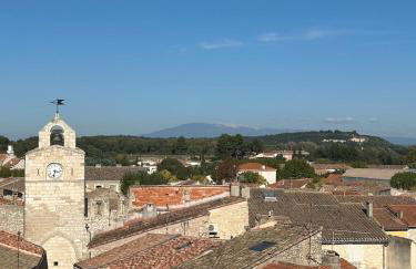 Le laurier, confort et calme en Provence - Foto 27