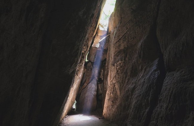 Visita guiada al bosque de Tijuca para grupos pequeños - Foto 30