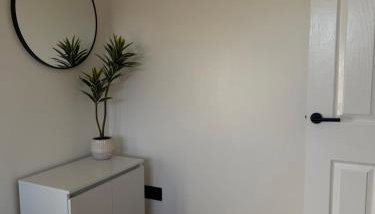 Black Daisy - Foto 2