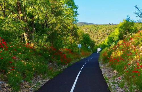 Domaine de Saxe-Roux, 2 Bed Cottage, Sauve - Photo 44