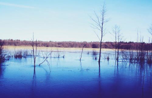 Pod Modrzewiem - Foto 46