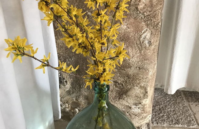 Charme in Perillis - Photo 3