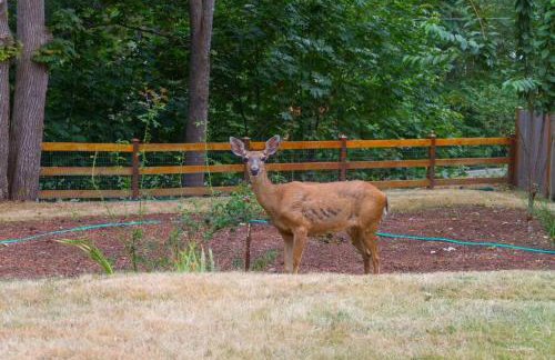 C19 Conscious, QUIET, ADULT Lake View Rental - Foto 29