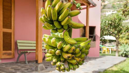 Casa Elvira Hermigua - Foto 4