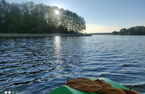 Leśny zakątek - Foto 52