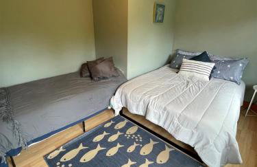 BLUEBERRY MORE LIMIT 17 home - Foto 19