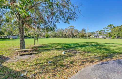 8 Mi to Tarpon Springs Sponge Docks Gem with Games - Foto 29