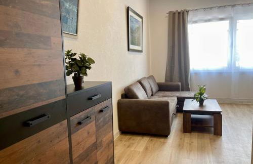 Goldstadt Comfort Suite - City Apartment Schlössle - Foto 5