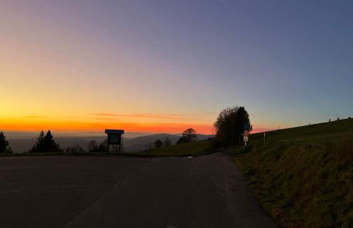 Blackforest Homestay Apartments - Foto 42