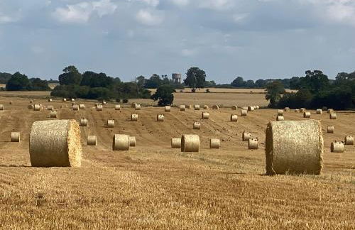 Badgers Rest Loddon - Foto 21