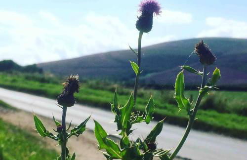 Lettoch Farm Holiday Home - Foto 14