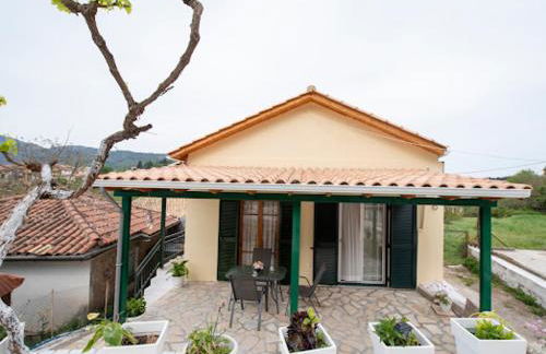 Basil & Sunrise - Photo 9